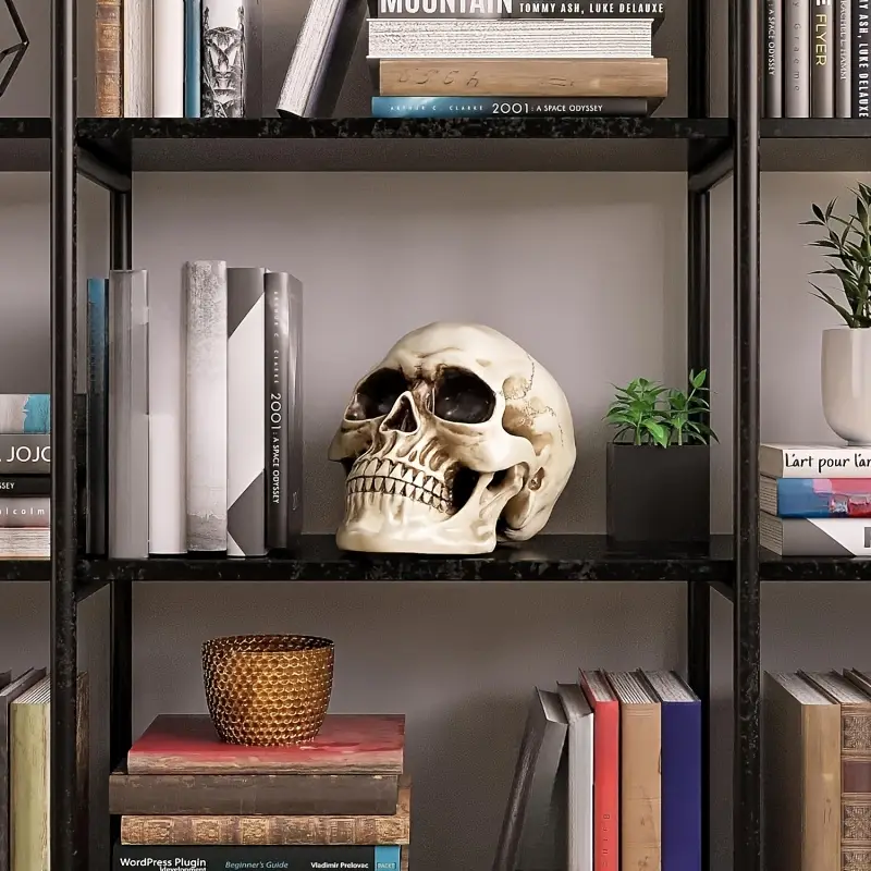 Crâne décoratif en résine – accessoire d’Halloween et fête des Morts – Image 7