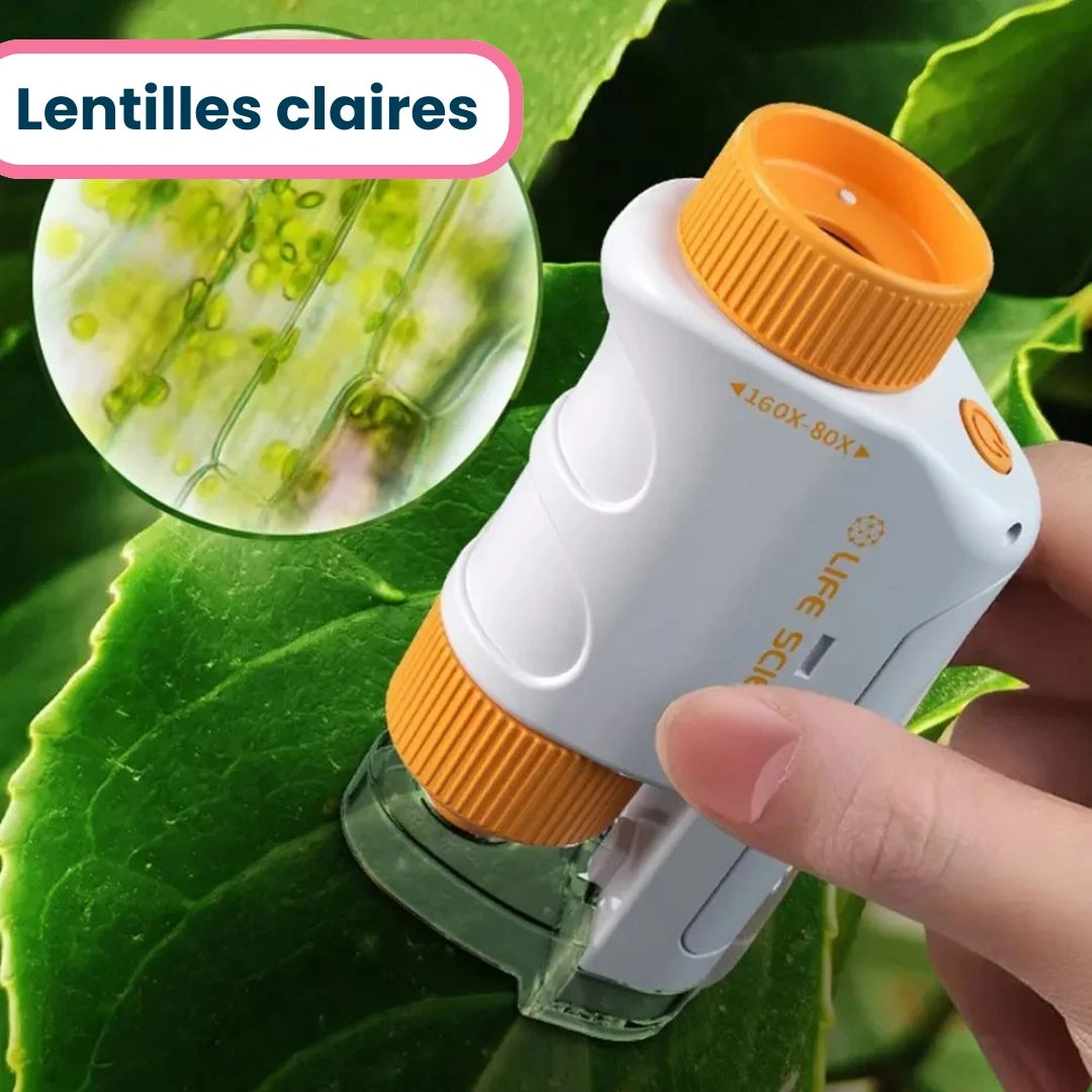 Mini Microscope Portable Enfant de Poche – Image 8