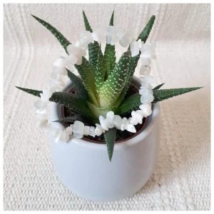 Bracelet Baroque Pierre de Lune