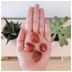 Pierre roulée de Jaspe rouge