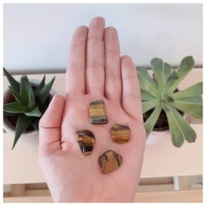 Pierre roulée Oeil de tigre