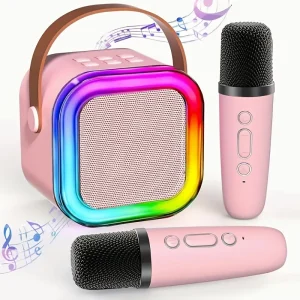 Karaoké portable avec 2 micros filaires – mini système audio tout-en-un