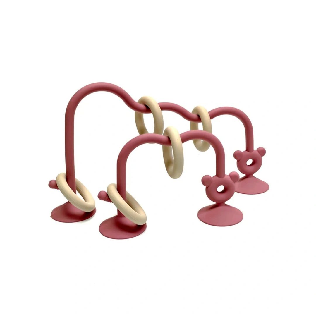 Circuit Anneaux Dentition – Image 9