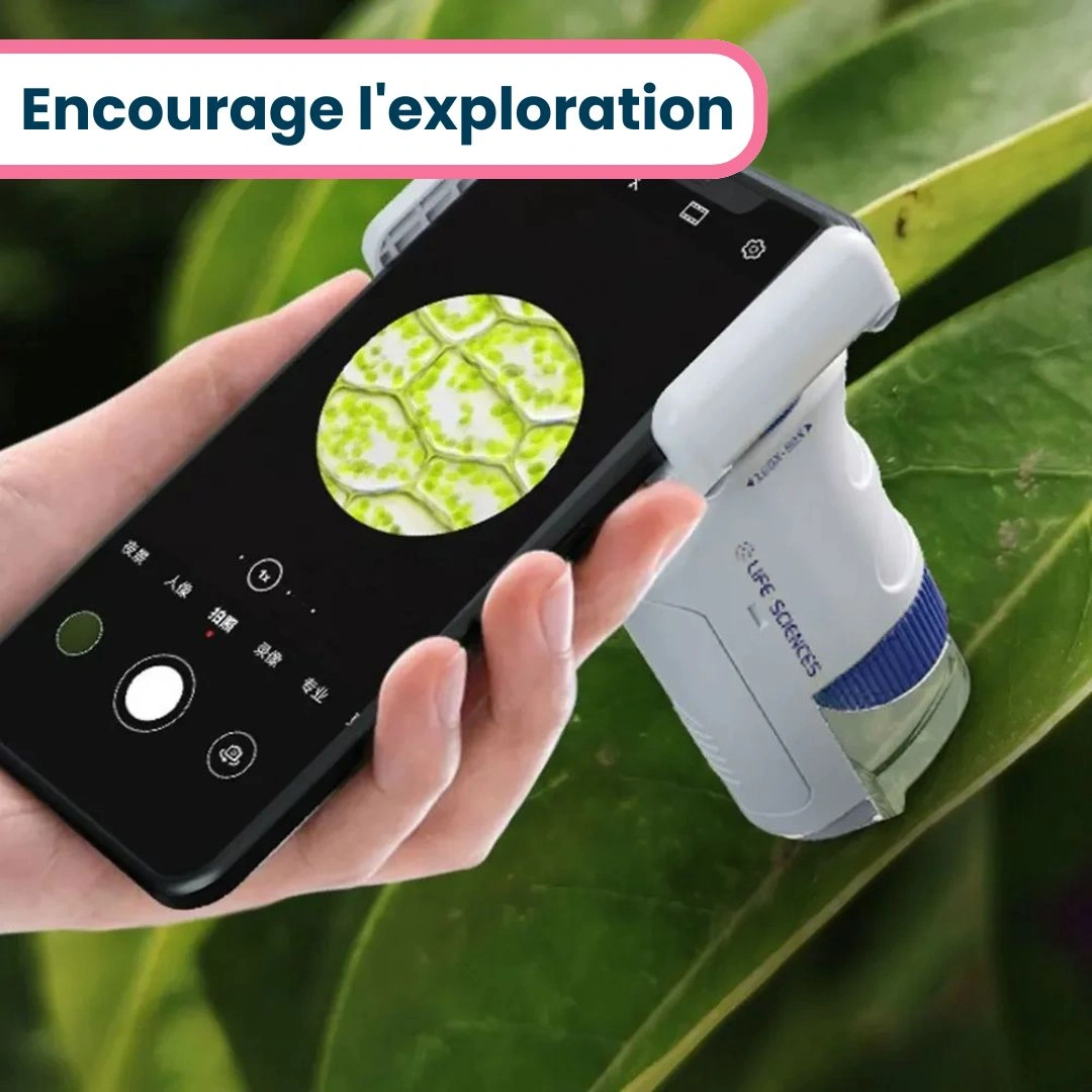 Mini Microscope Portable Enfant de Poche – Image 5