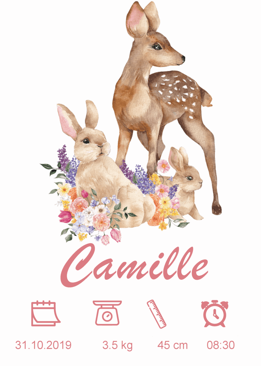 Affiche de naissance biche