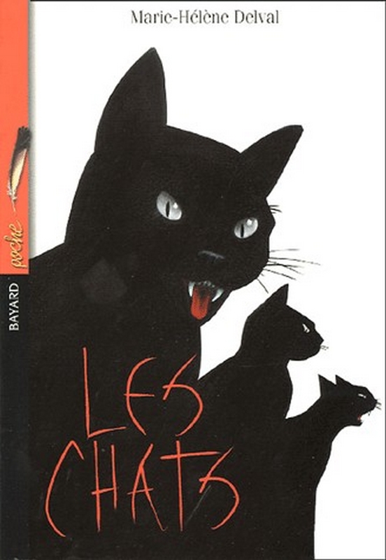 Chats – 10/12 ans