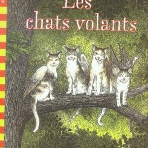 Chats volants – 7/9 ans