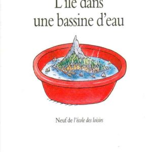 Île dans une bassine d’eau – 10/12 ans