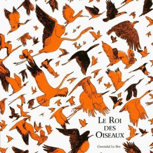 Roi des Oiseaux – 9/11 ans