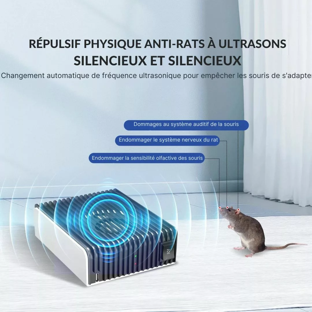 Appareil à ultrasons pour loirs domestiques – Protection efficace sans poison – Éloigne naturellement les rongeurs – Image 6