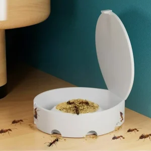 Barrière anti fourmis naturelle maison – Solution efficace, sans produits chimiques – Protection durable pour votre intérieur