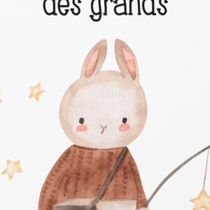 Carnet de liaison nounou Céleste – Spécial Grands (+ 1 an)