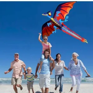 Cerf-volant dragon – Grand format volant facile à manier – Idéal pour enfants et sorties en plein air
