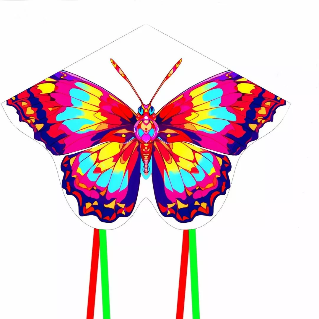 Cerf-volant papillon – Grand format coloré pour enfants – Facile à faire voler dès 3 ans – Activité plein air ludique – Image 7