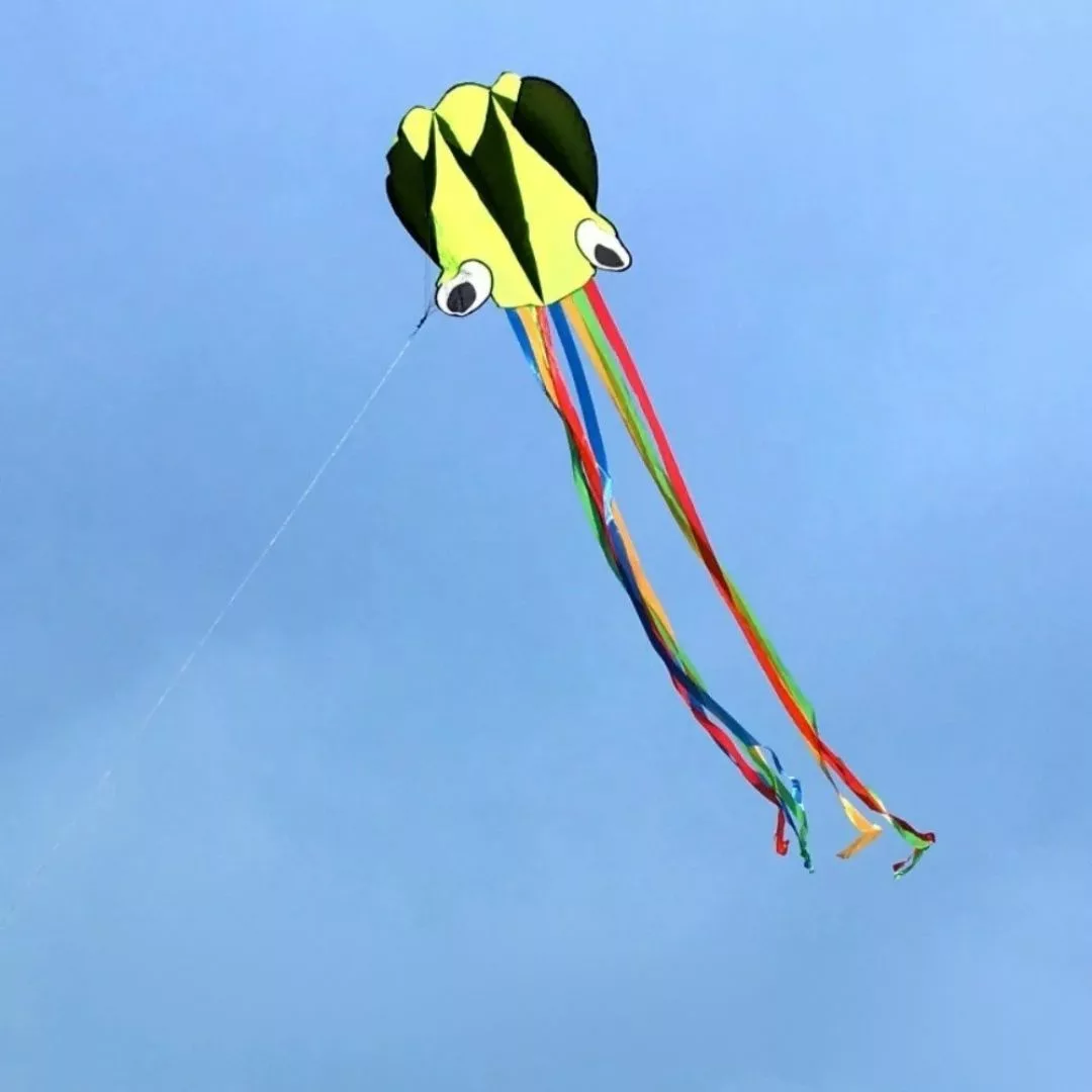 Cerf-volant pieuvre – Grand cerf-volant coloré pour enfants et adultes – Vol spectaculaire en plein air – Image 4