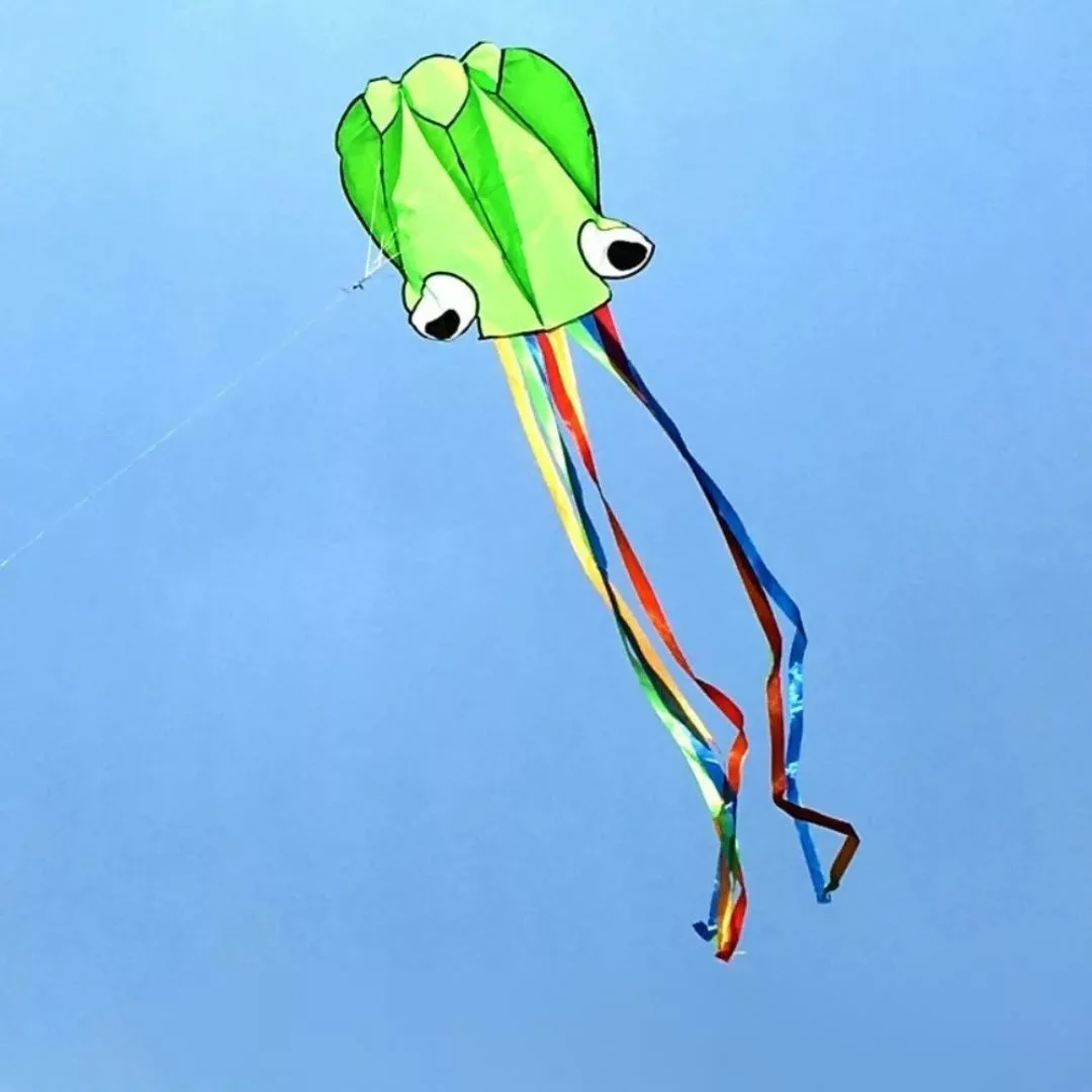 Cerf-volant pieuvre – Grand cerf-volant coloré pour enfants et adultes – Vol spectaculaire en plein air – Image 5