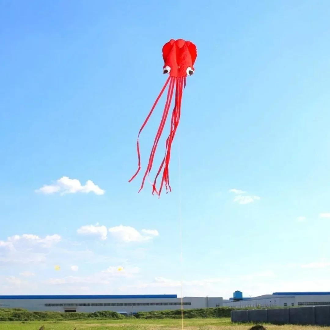 Cerf-volant pieuvre – Grand cerf-volant coloré pour enfants et adultes – Vol spectaculaire en plein air – Image 6