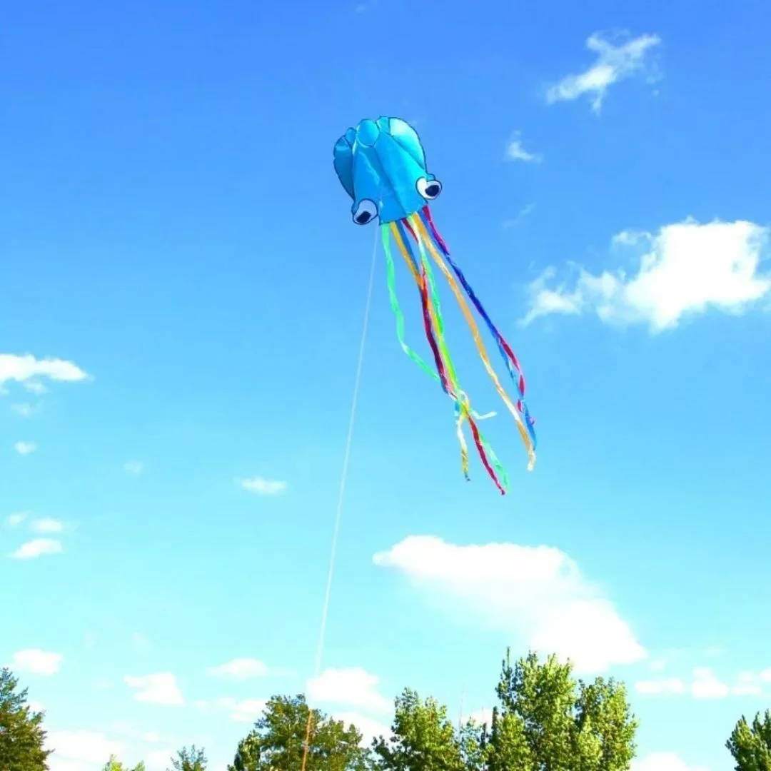 Cerf-volant pieuvre – Grand cerf-volant coloré pour enfants et adultes – Vol spectaculaire en plein air – Image 7