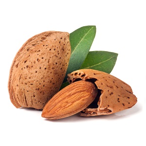 Racine-vita Huile D’amandes Douces 40 ml – Image 2