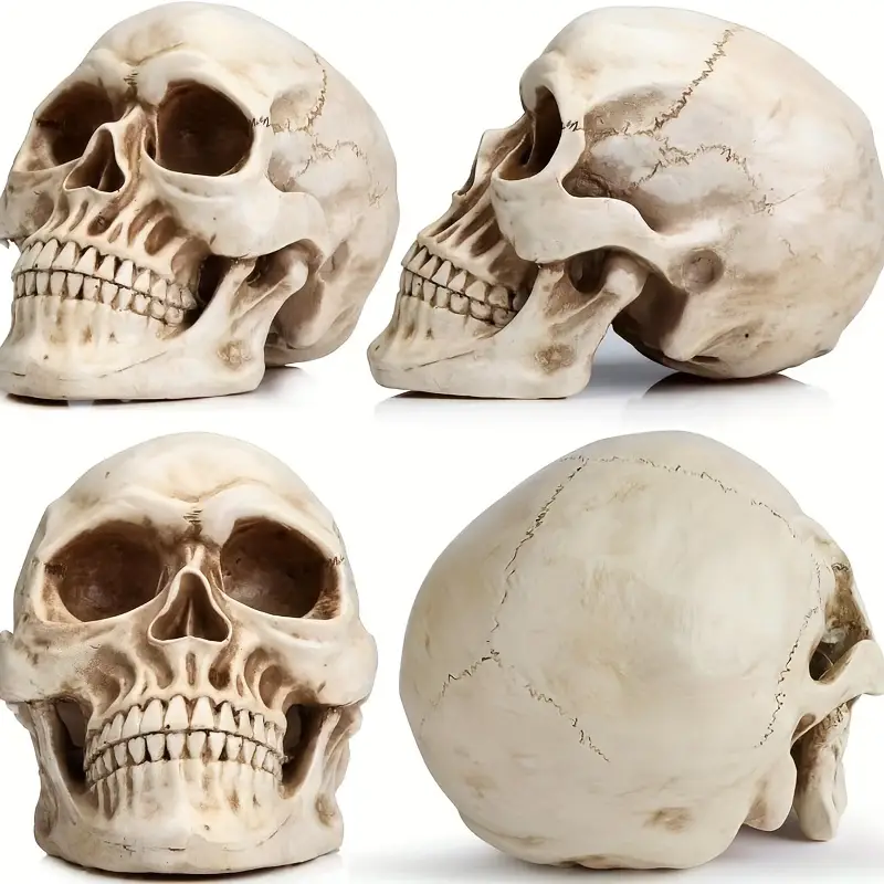 Crâne décoratif en résine – accessoire d’Halloween et fête des Morts – Image 2