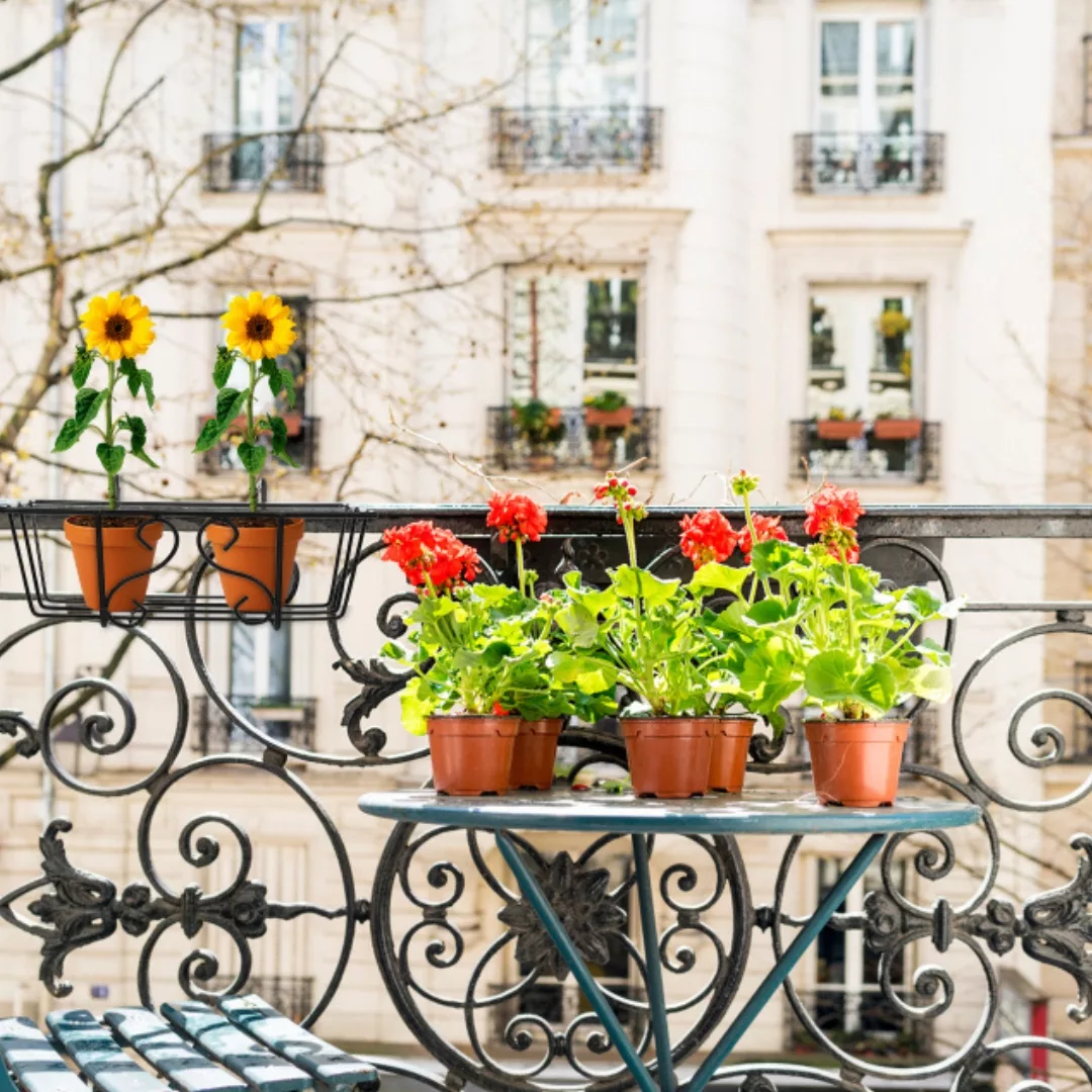 Support pour pots suspendus extérieur balcon – Gagnez de la place et sublimez vos plantes en hauteur – Image 4